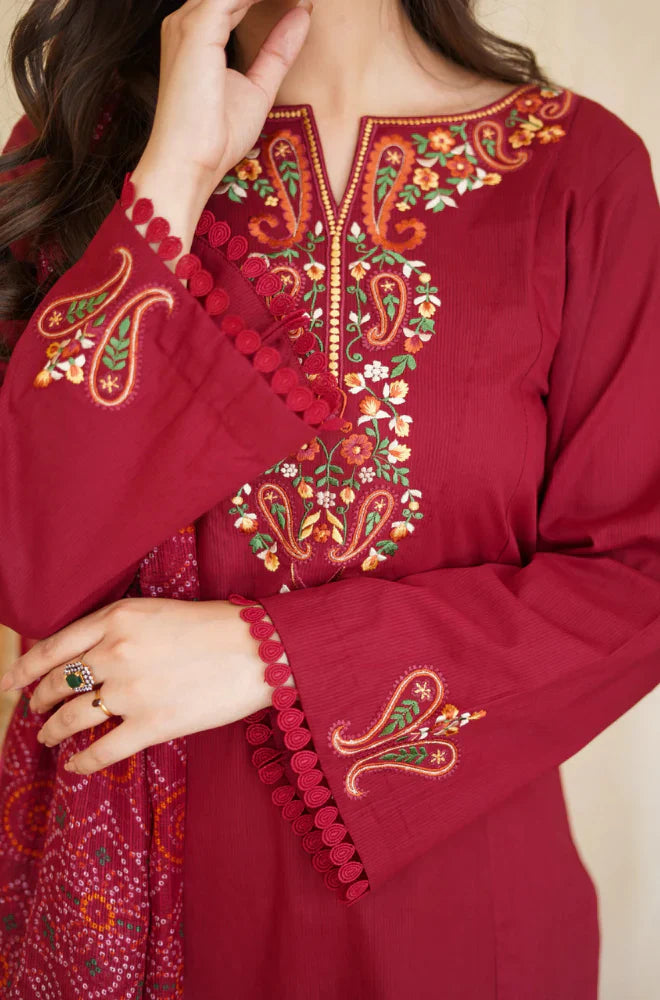 Swagiwear Asling - Winter 3PC Dhanak Embroidered Suit - 