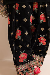 Swagiwear Embroidered Velvet Dress With Organza embroidered Dopata - 